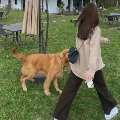 剧组的故事