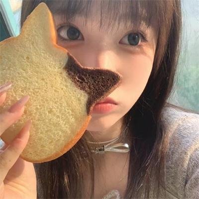 二战黑豹